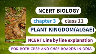 NCERT BIOLOGY  Class 11 Chapter 3Plant kingdomAlgae  Both for CHSE and CBSE Boards in Odia [upl. by Lotz]