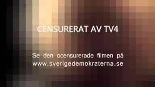 Sverigedemokraternas valfilm av TV4 censurerad version [upl. by Hoffman]