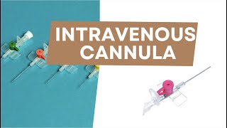 Intravenous cannula  Radiotherapy Edutech  Common terms in Oncology [upl. by Orferd]