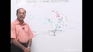 Receptors amp Intracellular Signaling Dr Najeeb Lectures  Part 3 [upl. by Adnilim]