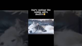 You can bite me shortsfeed shorts trending funny goofy memes [upl. by Enilorak]