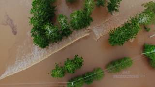 Maclean Flood Friday March 31st 2017 [upl. by Nowaj758]