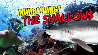 5 JawDropping Facts About The SHALLOWS You Never Knew Existed [upl. by Strander]