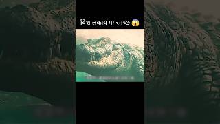 विशालकाय मगरमच्छ 😱 l Craw full movie explained in HindiUrdu shorts [upl. by Eseyt671]