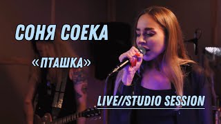 Соня Соека  пташка Live Studio session [upl. by Delbert]