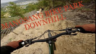 MANGSANG BIKE PARK DH  Vitus Sommet 2022 [upl. by Sheryle]