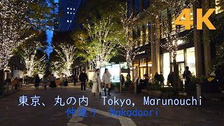 【4k】Tokyo Marunouchi Nakadoori💡👑（illumination）💖東京 丸の内 仲通りイルミネーション [upl. by Airenahs944]