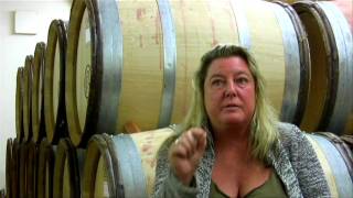 Patricia Green How Consistent Wine Style Offsets Vintage Variability [upl. by Seavir]