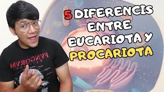 5 RAPIDAS diferencias entre la célula PROCARIOTA Y EUCARIOTA TAREA [upl. by Naoh]