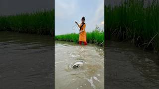 Lady Catch Monster Fish With Sikol hookfishing fishingmethods hookfishtrap sikolfishing [upl. by Mitchell]