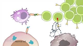 HMX Immunology  Course Preview [upl. by Nasia]