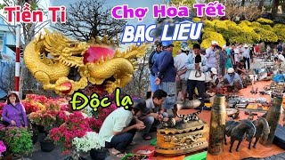 Chợ hoa tết BẠC LIÊU xuất hiện Mai hóa Rồng Chợ Đồ Cổ  Giá hoa Tết 2024 giảm sâu [upl. by Palermo]