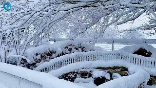 Flink pak sneeuw in de Ardennen Wondermooie beelden 080122 [upl. by Akoyn]