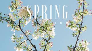 54 Spring Official [upl. by Enibas]