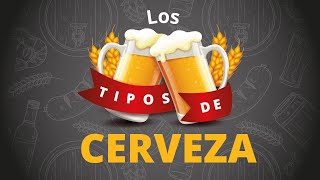 Los TIPOS de CERVEZA 🍺 en 5 minutos [upl. by Tychon632]