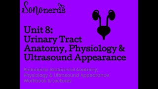 Urinary Tract Normal Anantomy Physiology amp Ultrasound Appearance [upl. by Erdua]