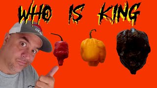 Worlds Hottest Pepper Carolina Reaper Showdown [upl. by Rephotsirhc138]