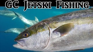 Catching Kingfish 3 techniques Jetski Fishing [upl. by Nilrem499]