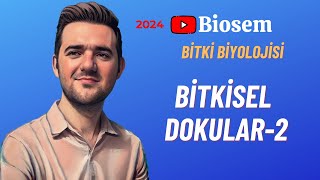 Bitki Biyolojisi  Bitkisel Dokular2 Konu Anlatımı 12 Sınıf Biyoloji [upl. by Mannos454]