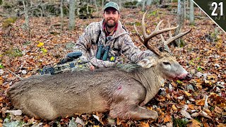 BIG WOODS BUCK with a BOW  Missouri Public Land [upl. by Lipcombe]