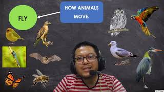 The Science Class Year 3  Grouping Animals by how they move [upl. by Bogey561]