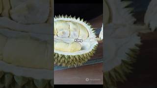 Durian Why its banned [upl. by Alekram]