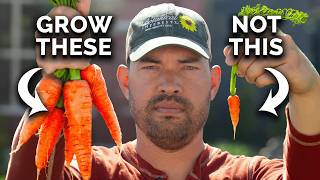 Watch This BEFORE You Plant Carrots 🥕 [upl. by Aspia]