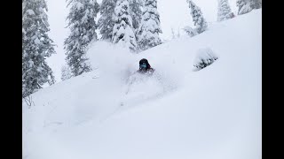 Powder Alert  Fernie Alpine Resort on January 8 2020 [upl. by Nhguavad]