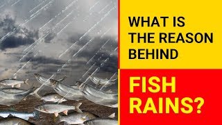 What is the Reason behind Fish Rains  Why Fish Rain occurs  Fish Rain down from the sky [upl. by Gussy54]