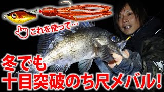 インチクででかメバル狙い～魚子チクでお手軽メバリング十目ゲーム！小物から尺メバルまで全部がターゲット！【穴場はここだ！メバリング編】 [upl. by Huggins]