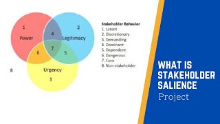 Stakeholder Salience [upl. by Kinsman]