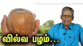 வில்வ பழத்தில் இவ்வளவு நன்மைகளா  Vilvam Fruit Health Benefits in Tamil [upl. by Teddi]