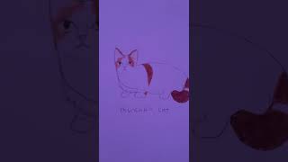 Pt 2 of drawing cats Munchkin cat [upl. by Yrrat]