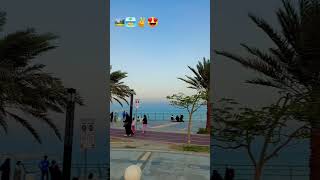 Dammam beach ⛱️⛱️viralvideo youtubeshorts love [upl. by Routh739]