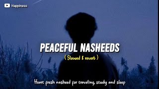 5 Soul healing Nasheeds  Slowed amp reverb  Happiness [upl. by Marijo]