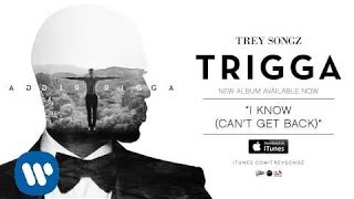 Trey Songz  I Know Cant Get Back Official Audio [upl. by Ycak]