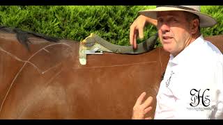 Saddle trees explained with Peter Horobin Benefits of the StrideFree tree [upl. by Aldredge]