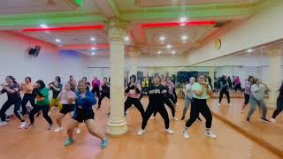 GO CRAZY REMIX  ZIN VOLUME 108  ZUMBA FITNESS [upl. by Marlon822]