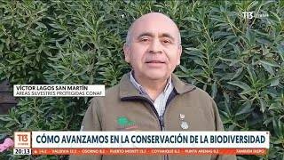 Cómo avanzamos en la conservación de la biodiversidad en Chile [upl. by Redliw]