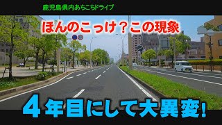 嬉しいニュース 視聴者年齢層 若返り 鹿児島弁を伝えるチャンスかも [upl. by Meek]