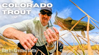 Trout Fishing on the East River – My 1st Day Fly Fishing in Colorado [upl. by Ramej]