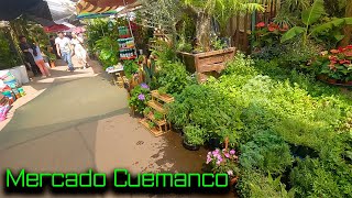 Mercado Cuemanco  Muchas plantas [upl. by Adnohsel]