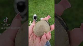 Septarian Stone Half PolishedHalf Raw fyp tiktokgemmajadeyt gemstones crystals [upl. by Nevuer914]