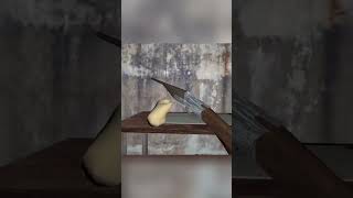 Grandma Got SHOT granny vrhorror funny [upl. by Gussy692]