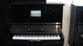 Grotrian Steinweg Hupfeld Solophonola [upl. by Sielen830]