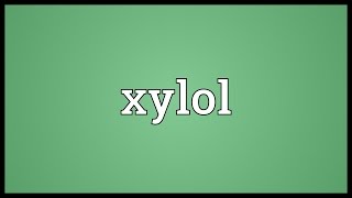 Xylol Meaning [upl. by Veljkov]