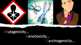 GT  13 Mutagenicity vs Genotoxicity vs Carcinogenicity General Toxicology Module 13 [upl. by Dachi755]