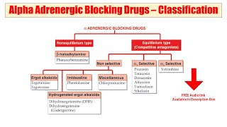 06 Alpha Adrenergic Blocker  Audio Pharmacological Classification of Drug  Recall Classification [upl. by Iow]