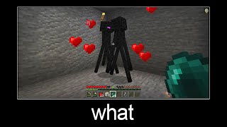 Minecraft wait what meme part 23 [upl. by Prue]