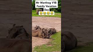 Mr Warthog V18 Family Vacations Day  There is No Problem 😂😂😂😂 [upl. by Conrad]